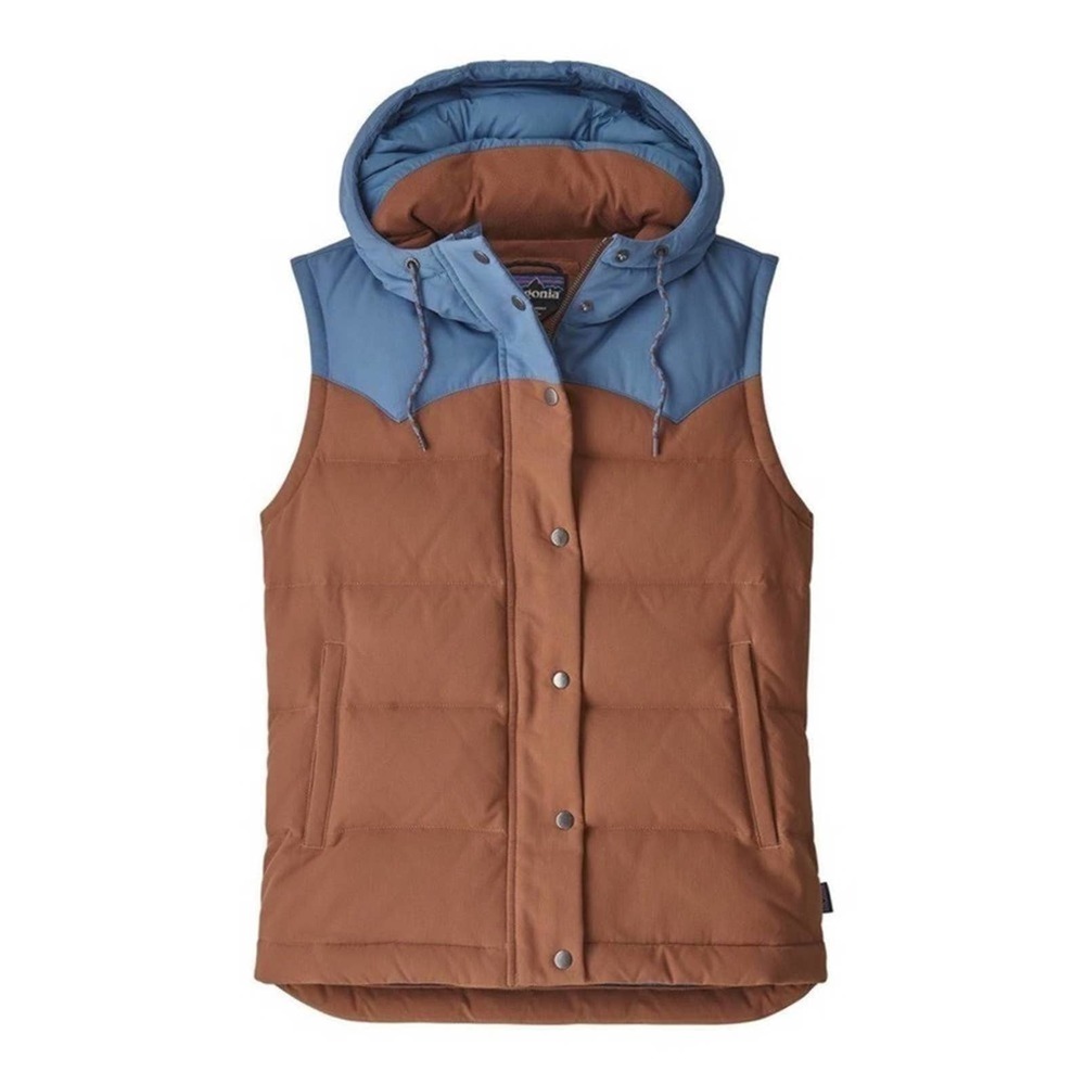 Patagonia Brown and Blue Hooded Vest